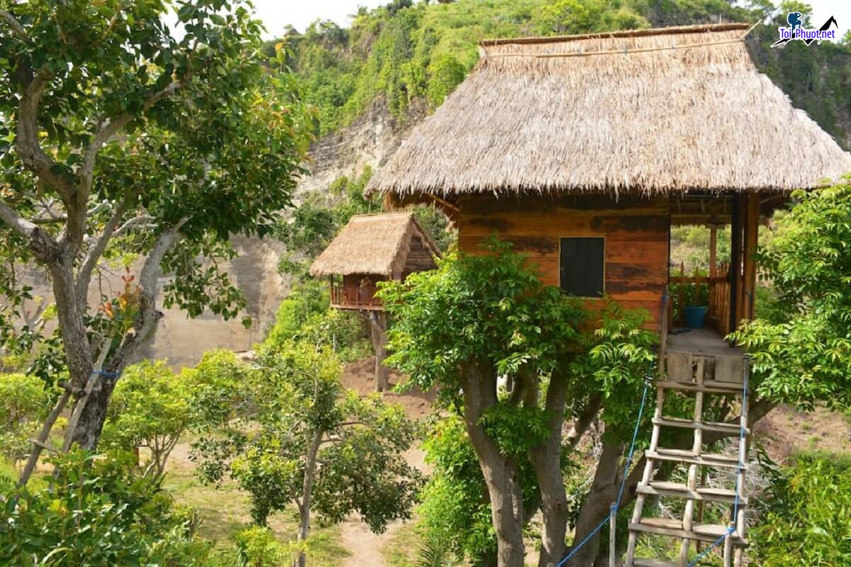 Dịch vụ trải nghiệm và Dịch vụ lưu trú tại farmstay Mới Lạ Hấp Dẫn (1)