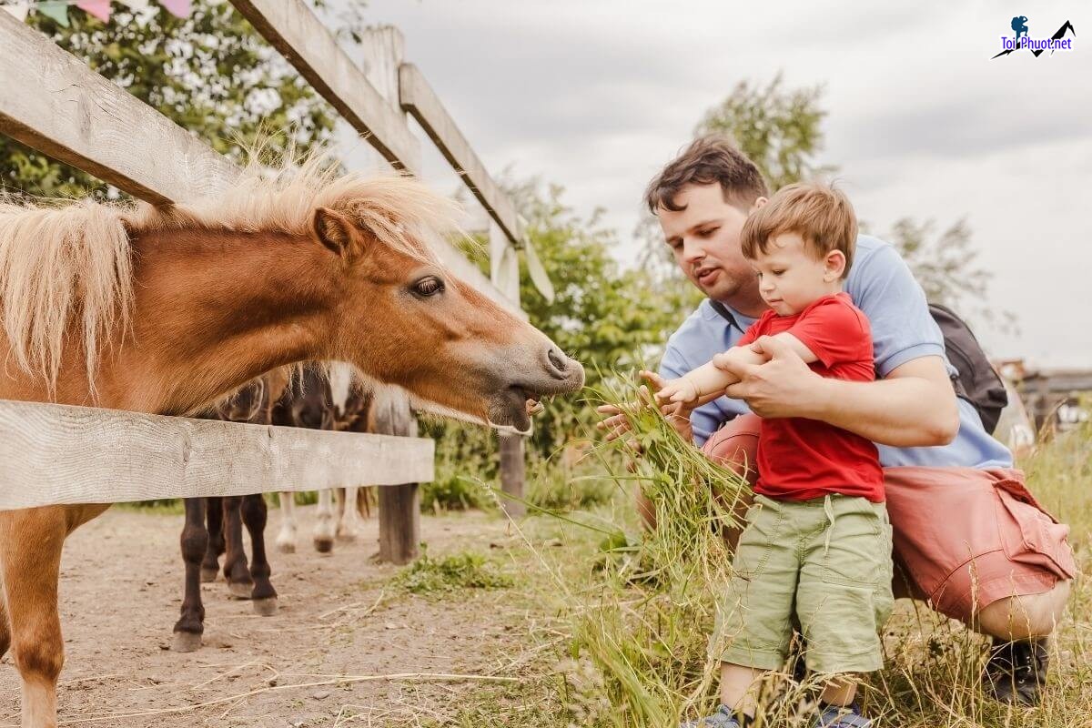 Dịch vụ trải nghiệm và Dịch vụ lưu trú tại farmstay Mới Lạ Hấp Dẫn (4)