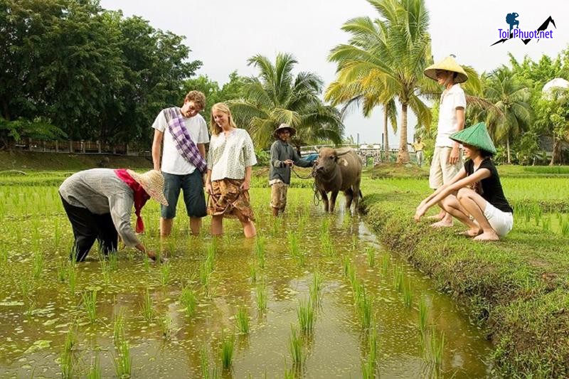 Dịch vụ trải nghiệm văn hóa dân tộc kết nối với thế giới xung quanh (3)