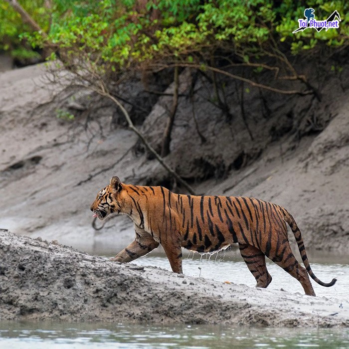 Du lịch Bangladesh thu hút lượng lớn du khách bởi sự phong phú về di sản kiến trúc di tích khảo cổ học (6)