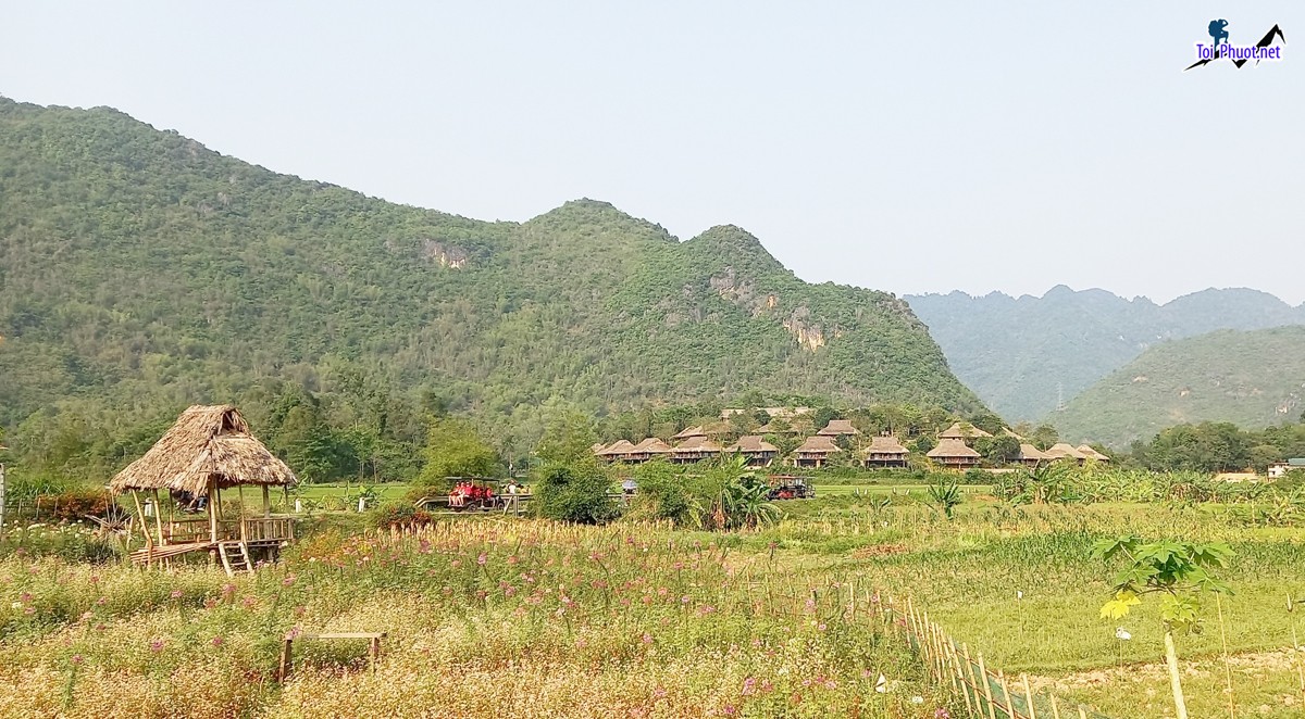 Du lịch Du lịch cộng đồng Mai Châu điểm đến lý tưởng cho những du khách ưa thích trải nghiệm thiên nhiên (1)