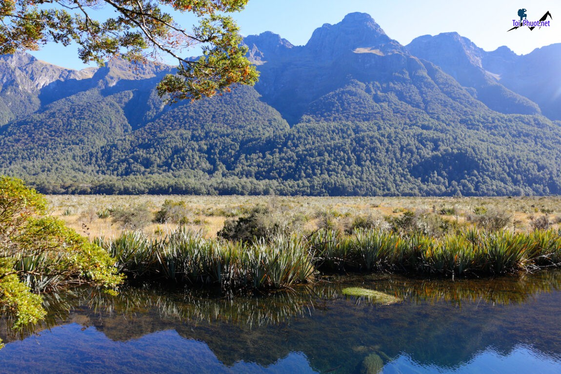 Du lịch New Zealand Milford Sound kỳ quan thứ 8 của nhân loại (4)