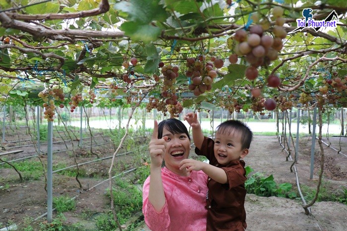 Du lịch nông thôn Đồng Tháp bảo tồn các giá trị văn hóa truyền thống mà còn góp phần kết nối (2)