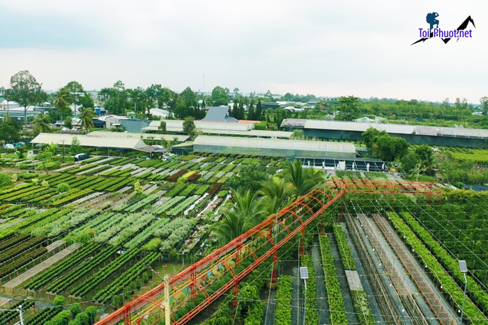 Du lịch nông thôn Đồng Tháp bảo tồn các giá trị văn hóa truyền thống mà còn góp phần kết nối (3)