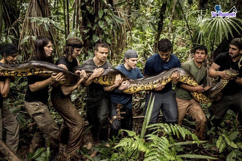 Hành trình Khám phá rừng già Amazonia khu rừng già lớn nhất thế giới (1)