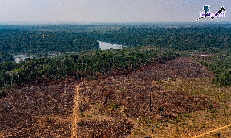 Hành trình Khám phá rừng già Amazonia khu rừng già lớn nhất thế giới (2)