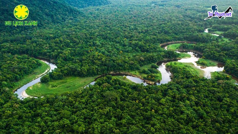 Hành trình Khám phá rừng già Amazonia khu rừng già lớn nhất thế giới