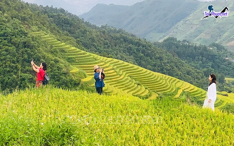 Khám phá và trải nghiệm Dịch vụ tham quan ruộng bậc thang vùng Tây Bắc