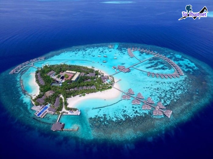 Kinh nghiệm cực hay khi Lặn biển Maldives để ngắm nhìn ‘thiên đường dưới đáy biển’ (1)