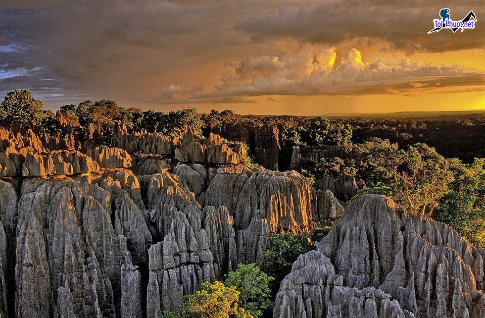 Kinh nghiệm Du lịch Madagascar ngắm miền hoang dã nhất trên thế giới (4)