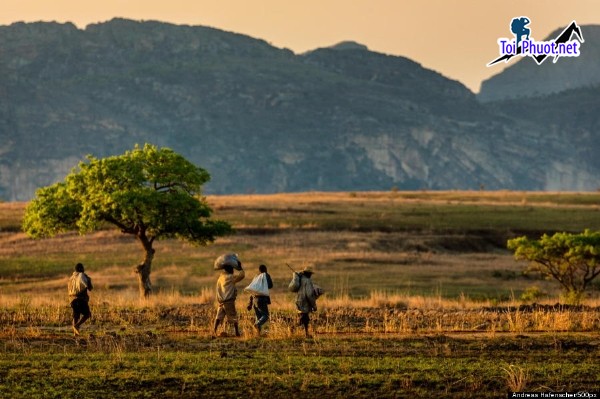 Kinh nghiệm Du lịch Madagascar ngắm miền hoang dã nhất trên thế giới (6)