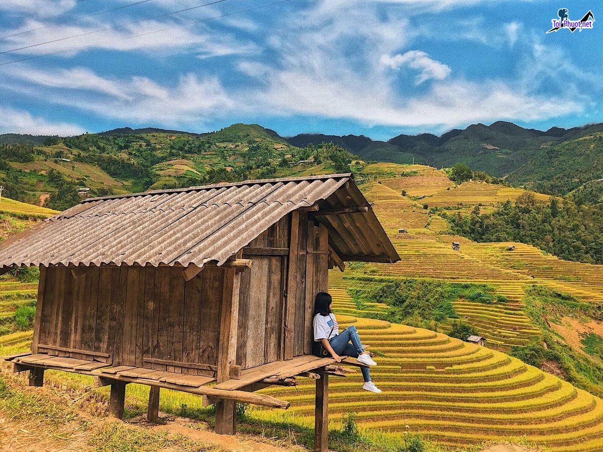 Kinh nghiệm Mùa lúa chín Mù Cang Chải mùa lúa chín để không bỏ lỡ khoảnh khắc vàng (2)