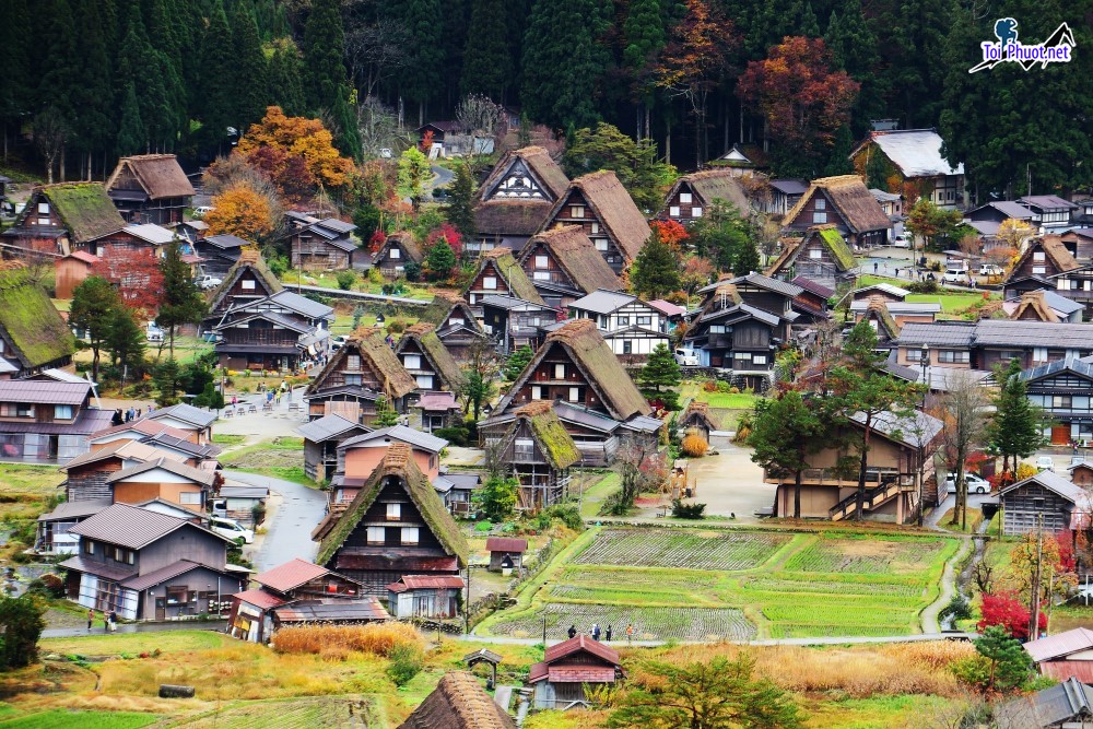 Kinh nghiệm Thăm làng cổ Shirakawa Nhật Bản di sản văn hóa thế giới vào năm 1995 (1)