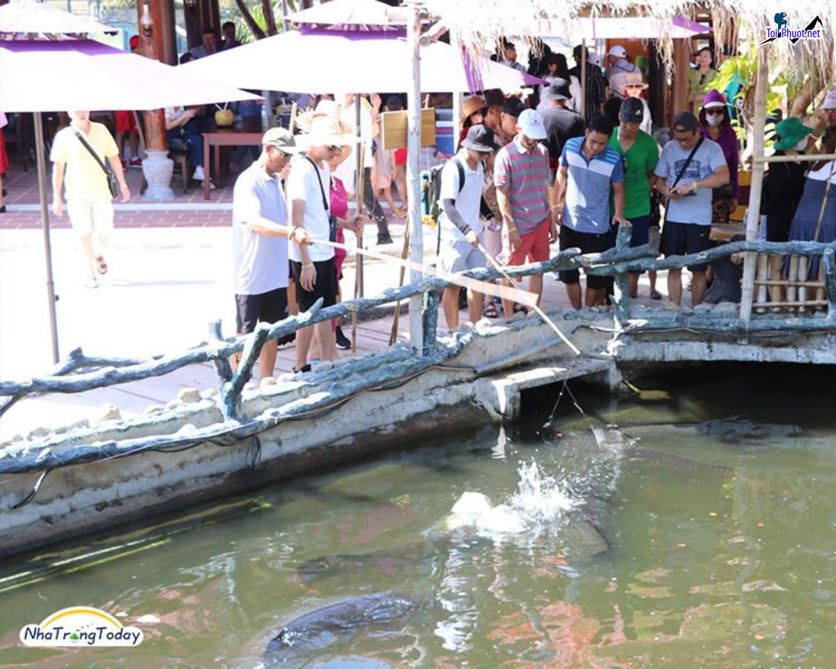 Lạc vào Thủy cung Trí Nguyên Nha Trang thu nhỏ giữa thành phố biển (2)