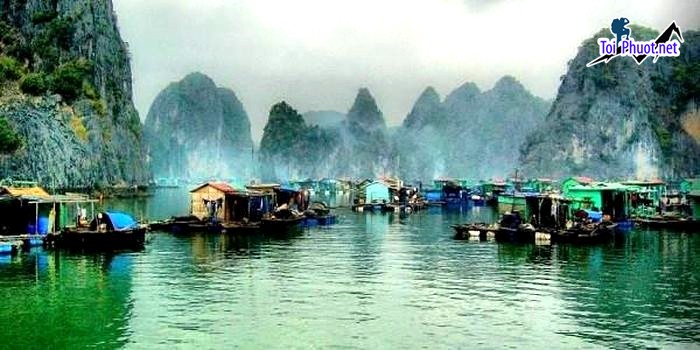 Làng chài Cửa Vạn Quảng Ninh điểm đến rất thú vị trong lịch trình du lịch vịnh Hạ Long (3)