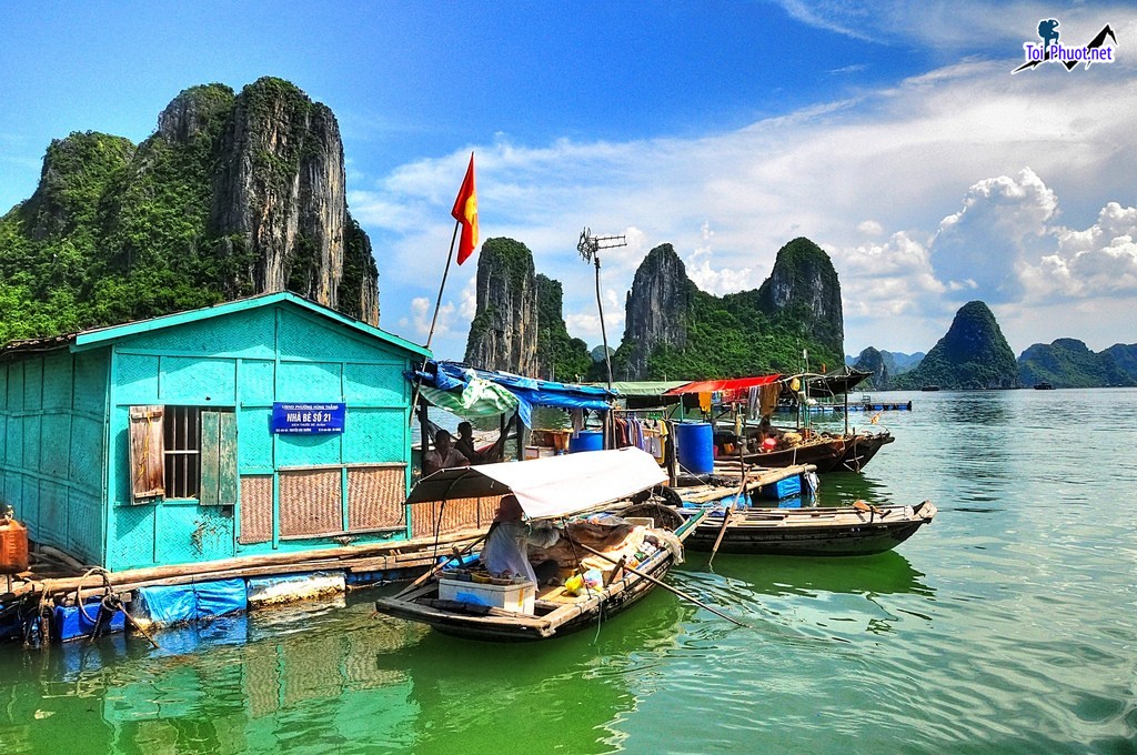 Làng chài Cửa Vạn Quảng Ninh điểm đến rất thú vị trong lịch trình du lịch vịnh Hạ Long (6)