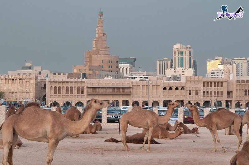 Lên kế hoạch để đi Du lịch Qatar đất nước Hồi giáo có luật lệ và phong tục theo truyền thống theo đạo Hồi (4)