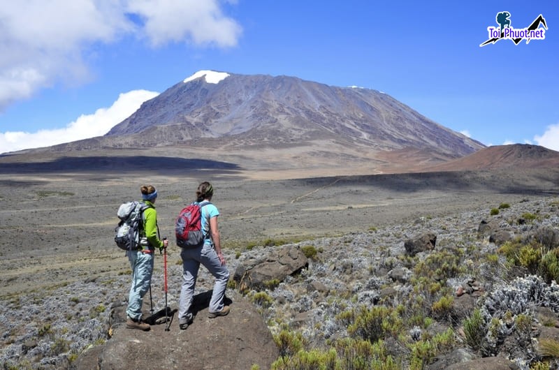 Leo núi Kilimanjaro hành trình đi tìm nóc nhà Châu Phi huyền bí (2)