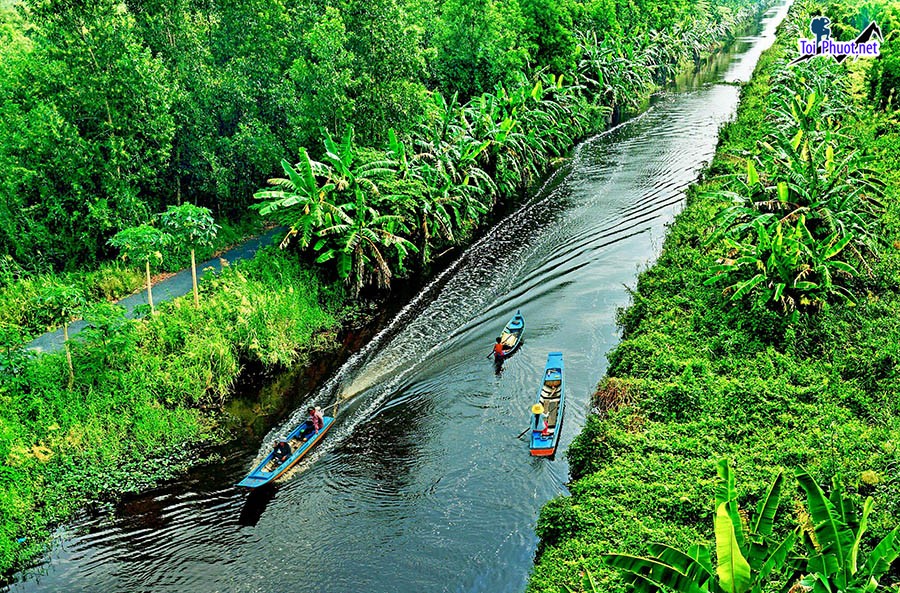 Phát triển Dịch vụ du lịch khám phá rừng ngập mặn mùa mưa một điểm đến hấp dẫn (1)