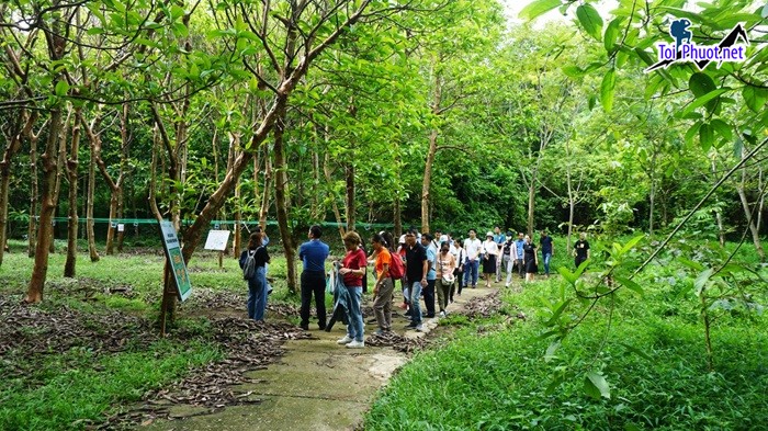 Phát triển mô hình Du lịch bảo tồn thiên nhiên văn hóa truyền thống của địa phương (2)