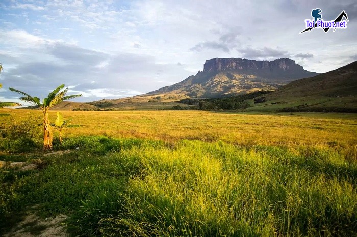 Thám hiểm đỉnh núi Roraima Venezuela cao nguyên kì bí giữa rừng nhiệt đới Nam Mỹ (6)