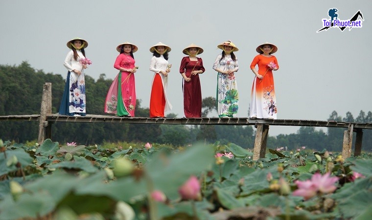 Tổng hợp những địa điểm Ngắm sen nở Đồng Tháp Trải nghiệm ẩm thực với những món đặc trưng (3)