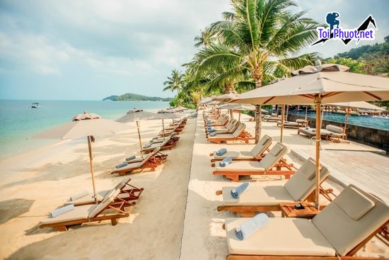 Top 8 Resort ở Koh Samui sạn sang trọng nhất tại Koh Samui Thái Lan (5)