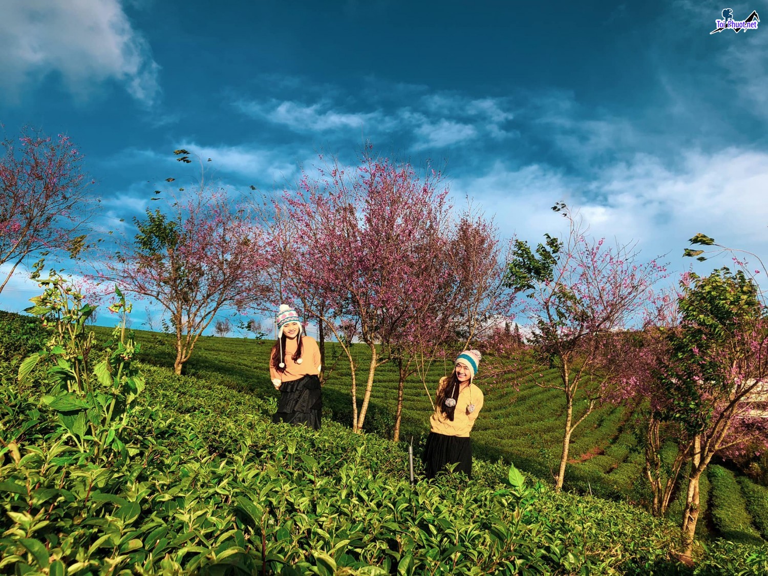 Tour Đà Lạt săn mây những đám mây trôi bồng bềnh đẹp như tiên cảnh (3)