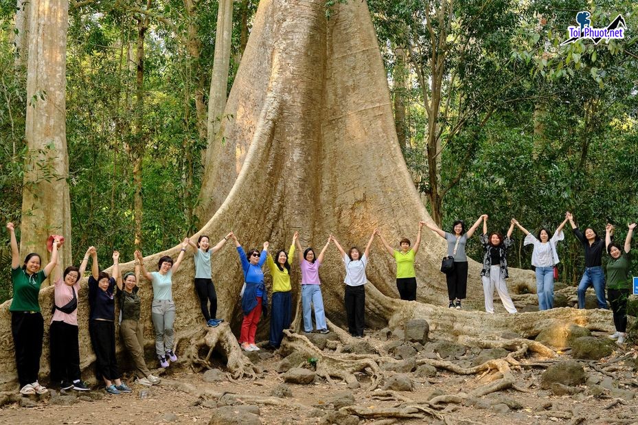 Tour xuyên rừng Cát Tiên 2 ngày khám phá nguồn tài nguyên đa dạng sinh học lớn nhất ở Việt Nam (3)