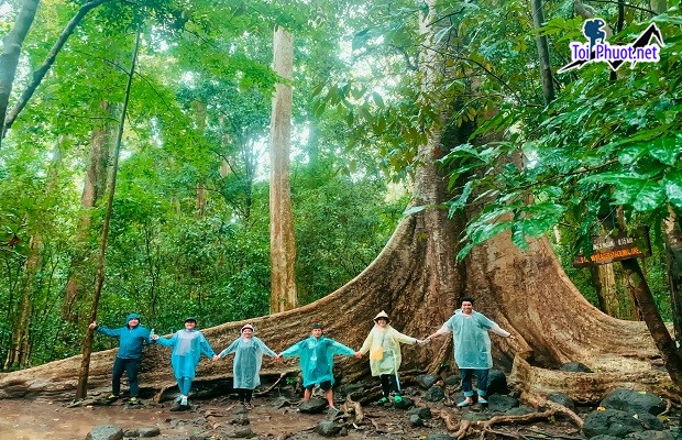 Tour xuyên rừng Cát Tiên 2 ngày khám phá nguồn tài nguyên đa dạng sinh học lớn nhất ở Việt Nam (5)