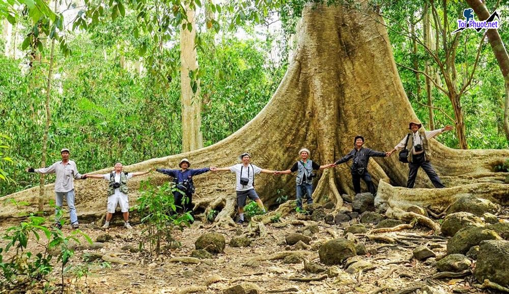 Trải nghiệm Dịch vụ tour camping tại rừng quốc gia Nam Cát Tiên Trọn Vẹn (1)