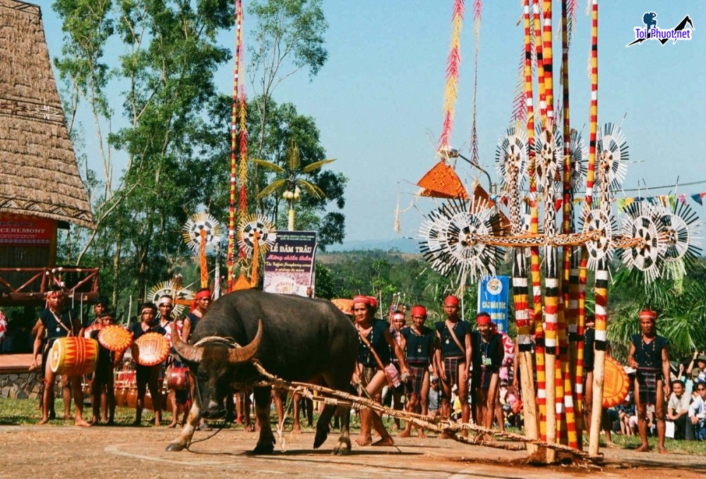 Trải nghiệm Du lịch văn hóa Tây Nguyên cội nguồn văn hoá Cồng Chiêng (5)