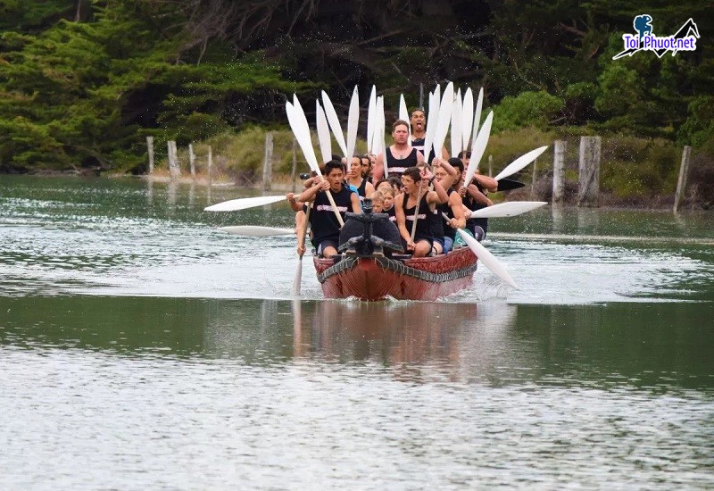 Trải nghiệm văn hóa Maori New Zealand kho tàng văn hóa đa dạng và giàu bản sắc (1)