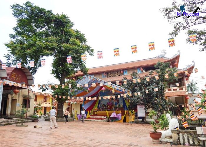 Du lịch Tuyên Quang khám phá hệ sinh thái phong phú và không gian yên bình với Tour giá rẻ (1)