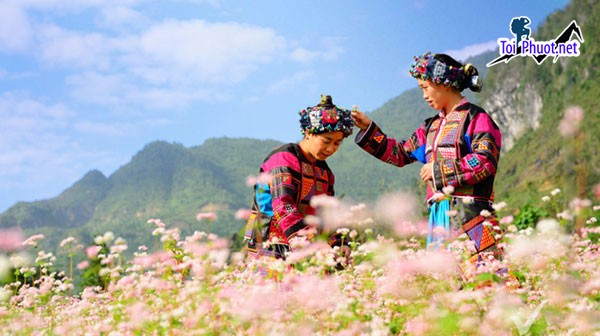 Hãy vùng khám phá núi non hùng vĩ Hà Giang bằng Tour du lịch giá rẻ  (3)