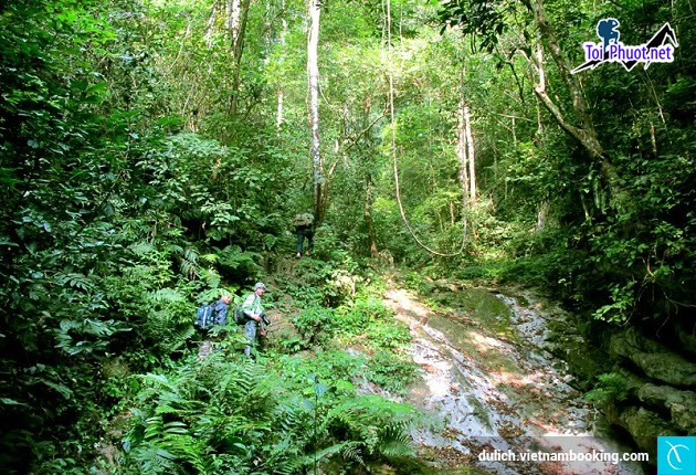 Khám phá cội nguồn Việt Trì Phú Thọ với dịch vụ Tour du lịch giá rẻ (2)