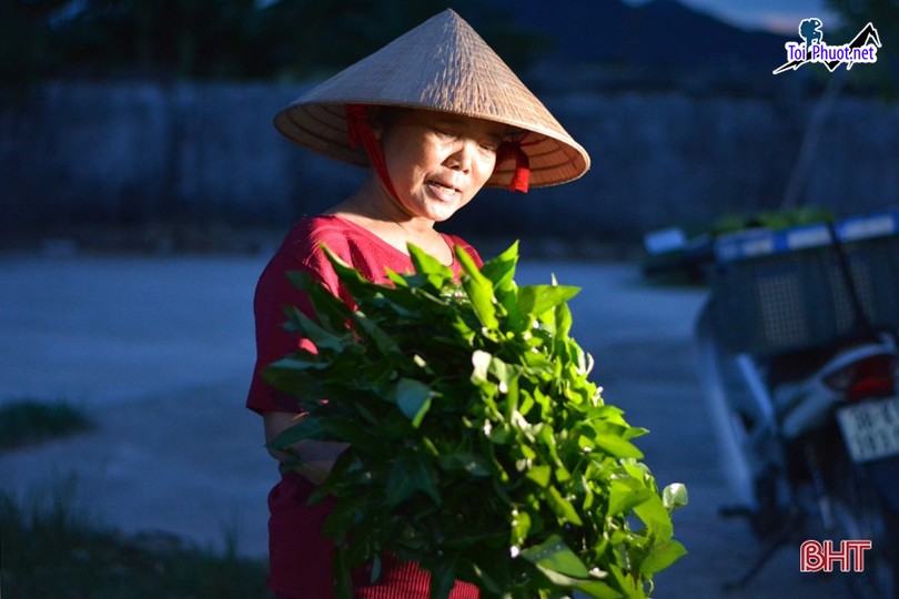 Khu chợ đêm gần trăm tuổi và trung tâm thương mai đẹp ở tỉnh Hà Tĩnh (4)