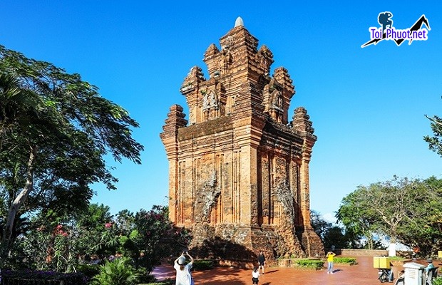 Phiêu du tại xứ sở hoa vàng trên cỏ xanh Tuy Hòa Phú Yên với Tour du lịch giá rẻ (2)