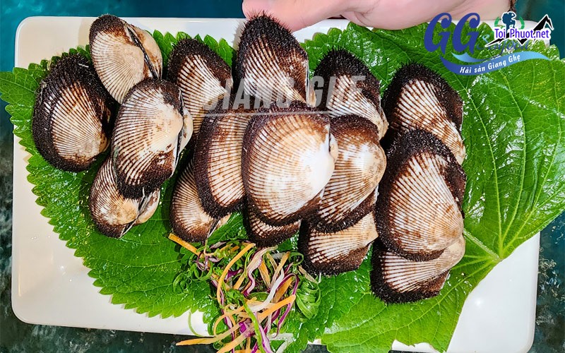 Sò lông tươi sống Cung cấp mua bán sò lông giá rẻ tốt sỉ món hải sản quốc dân (2)