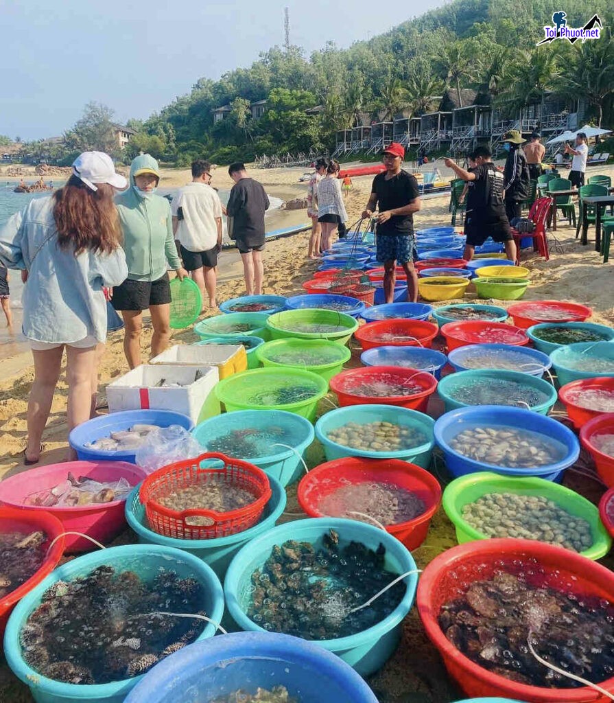 Top 10 chợ hải sản tươi sống giá rẻ Quy Nhơn phong phú chất lượng (2)