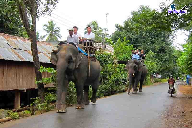 Tour du lịch giá rẻ khám phá núi rừng Buôn Ma Thuột Đắk Lắk (4)