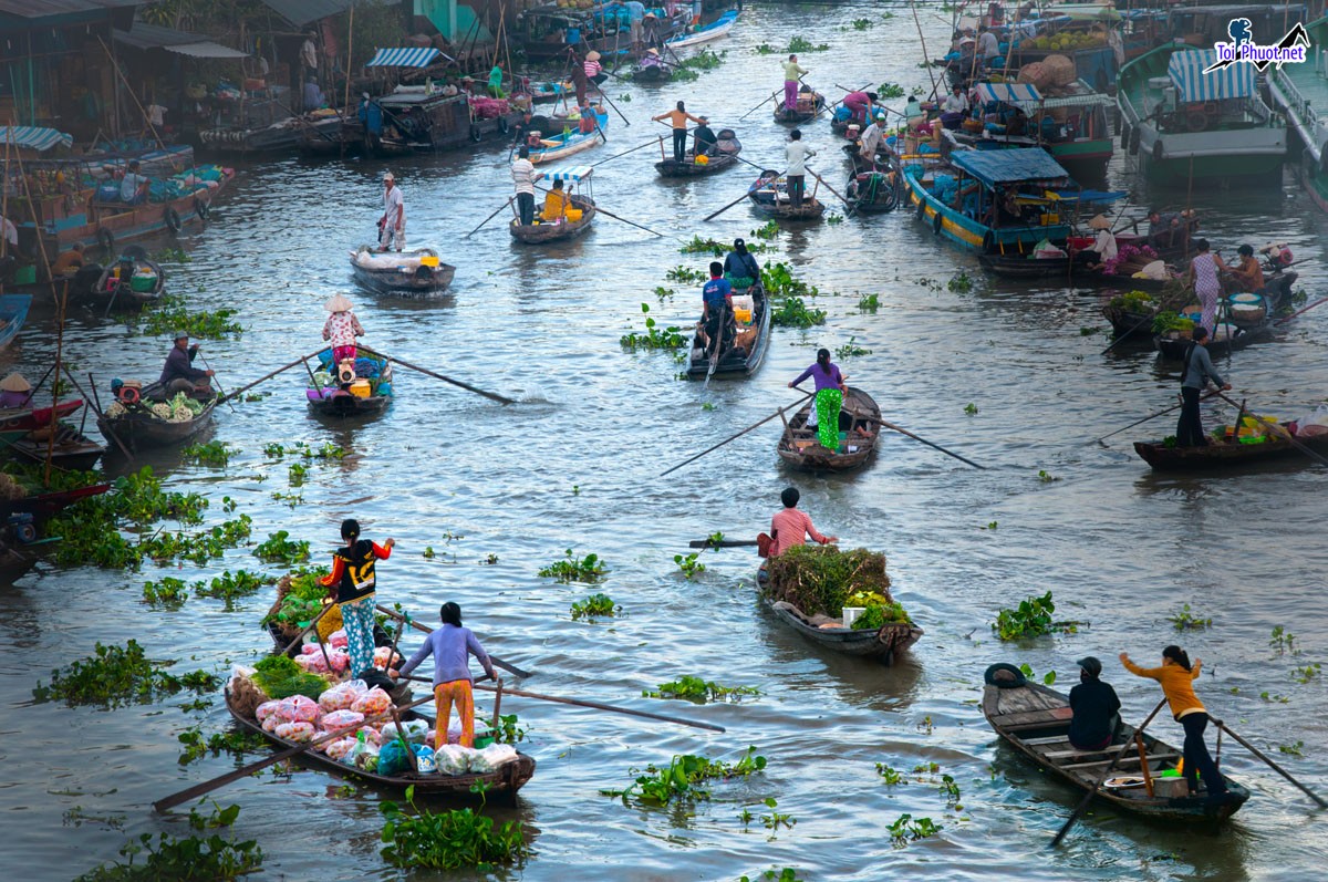 Tour du lịch giá rẻ Sóc Trăng hè giá tốt cực kì chất lượng (4)