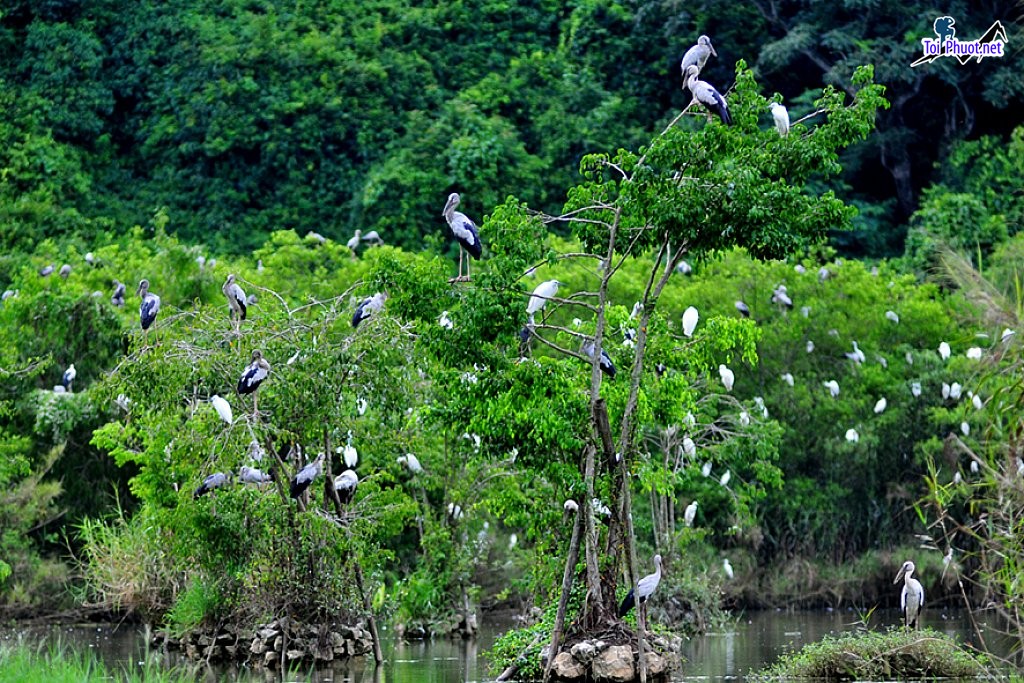 Tour du lịch giá rẻ Sóc Trăng hè giá tốt cực kì chất lượng (6)