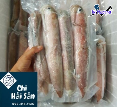 Buôn bán Cung cấp mực Buôn Ma Thuột Đắk Lắk hải sản tươi sống giá sỉ tốt rẻ cho bạn (1)