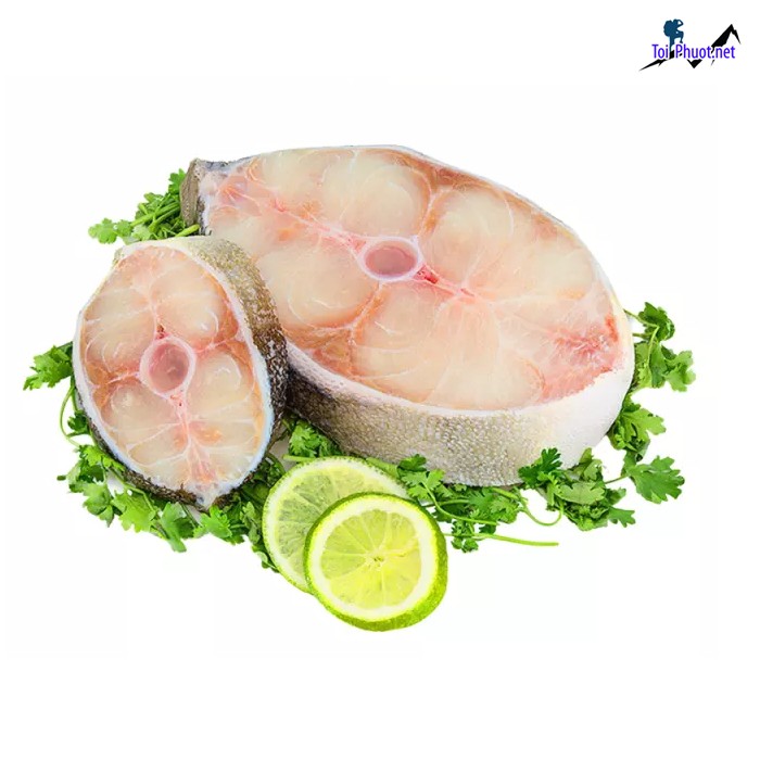 Cá size từ 2 10kg Cung cấp cá bớp Cao Bằng hải sản tươi sống giá sỉ tốt rẻ (1)