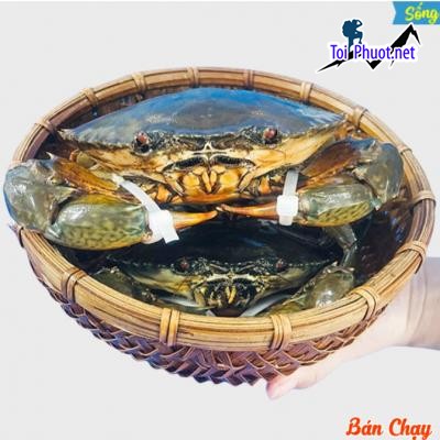 Cua không dây Cung cấp Cua Pleiku Gia Lai hải sản tươi sống giá sỉ tốt rẻ nhất (2)