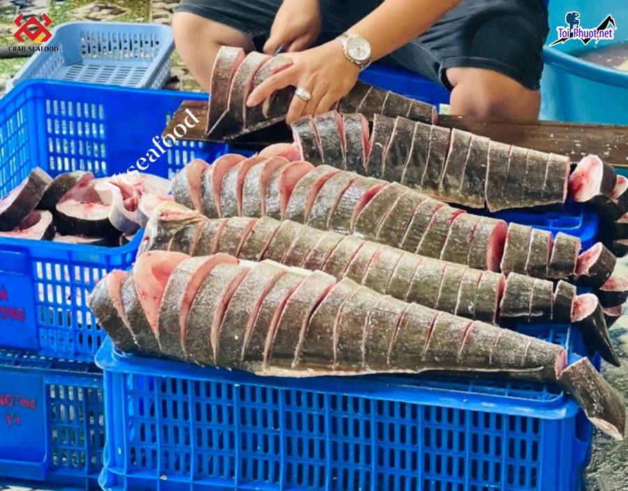 Dịch vụ Cung cấp cá bớp Kon Tum hải sản tươi sống giá sỉ tốt rẻ cá tươi (2)