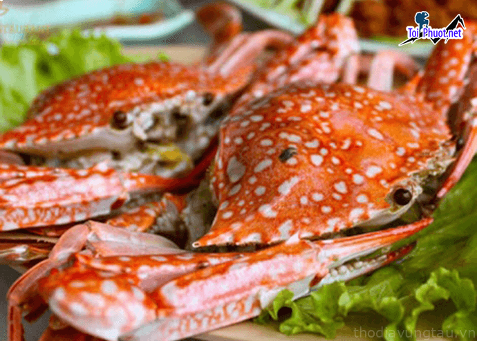 Giao hàng tận nơi Cung cấp mua bán Ghẹ luộc giá rẻ tốt sỉ ngon ngọt