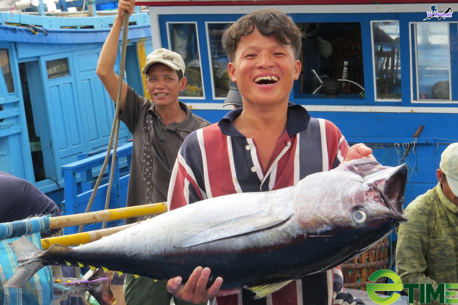 Giới thiệu Cung cấp cá ngừ đại dương Lạng Sơn hải sản tươi sống giá sỉ tốt rẻ to con (1)