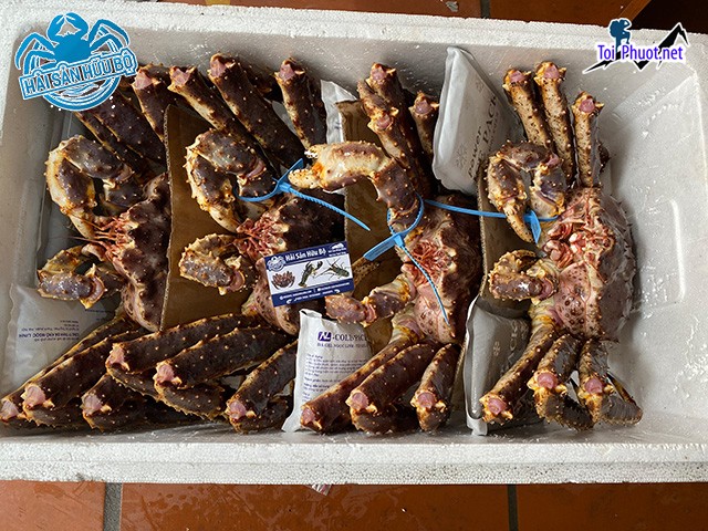 King Crab Cung cấp Cua Vị Thanh Hậu Giang hải sản tươi sống giá sỉ tốt rẻ (2)